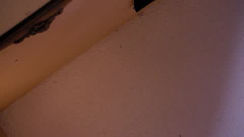 Snapshot of your_king_of_hearts chatting on 18, 10, 2025 Sophiestar online show from 18, 10, 2025