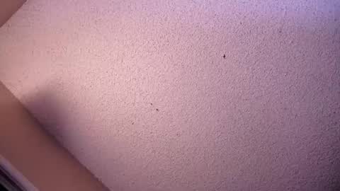 Sophiestar online show from 26, 5, 2026