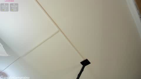 Snapshot of your_naughtytrans chatting on 25, 1, 2025 SASKYA VALERIA online show from 25, 1, 2025