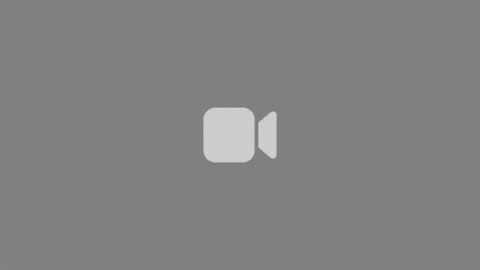 Ollie online show from 29, 6, 2026