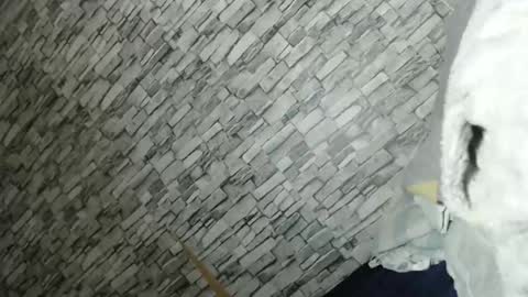 angel online show from 23, 2, 2026