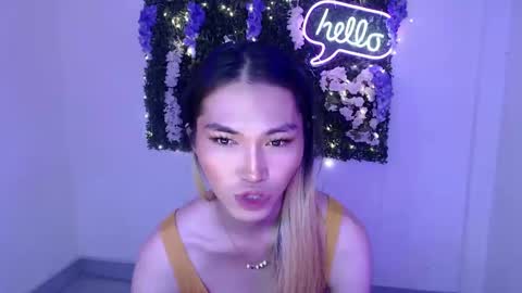    online show from 29, 12, 2024