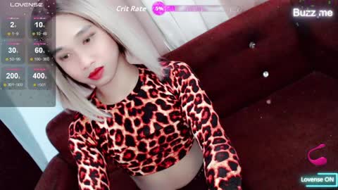 Stella online show from 10, 4, 2026