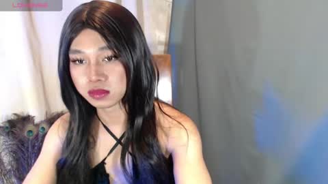 Stella online show from 1, 5, 2026