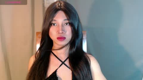 Stella online show from 10, 5, 2026