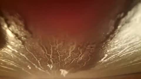 youth505 online show from 5, 12, 2025