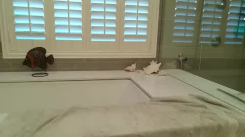 yttims online show from 1, 2, 2026