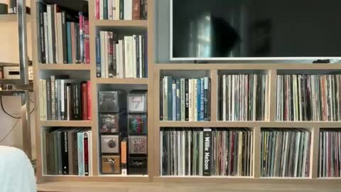 yumiandwolf online show from 5, 3, 2025