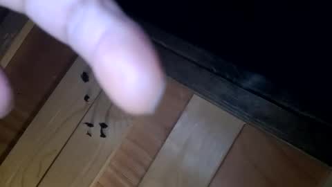 yungnhandsumdee online show from 13, 10, 2025