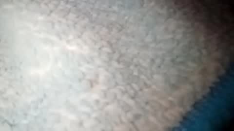 Snapshot of yuyu33333284475 chatting on 22, 1, 2025 yuyu33333284475 online show from 22, 1, 2025