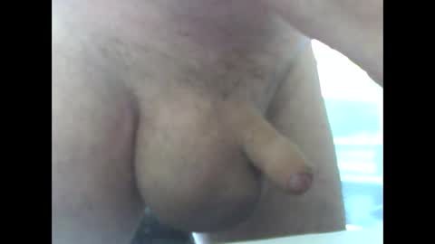 yyyyy_2023 online show from 8, 3, 2025