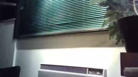 zalina2 online show from 8, 3, 2026