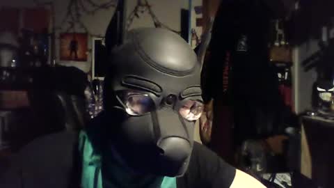 ZanePup online show from 29, 6, 2026