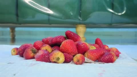 Snapshot of zarcasutra_t chatting on 31, 3, 2026 Isabella online show from 31, 3, 2026