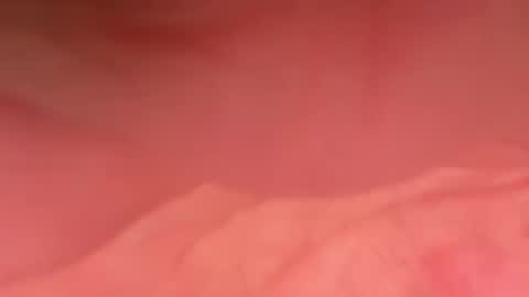 zebbarbrahim online show from 1, 12, 2025