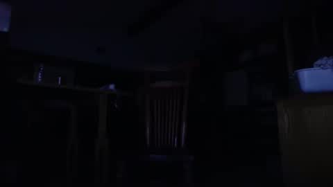 Snapshot of zed_alpha chatting on 20, 3, 2026 zed_alpha online show from 20, 3, 2026