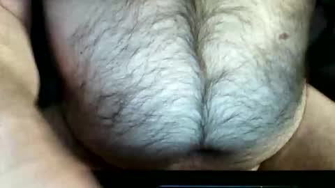 zeddie71 online show from 28, 11, 2025