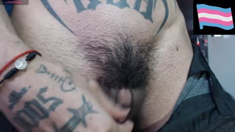 Zeldris online show from 8, 2, 2025