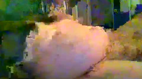 zero0zero123 online show from 27, 9, 2025