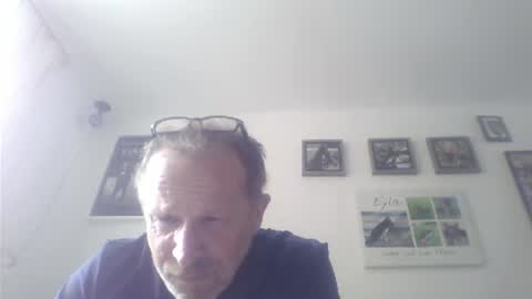 Snapshot of zippi55 chatting on 17, 7, 2026 Zippi online show from 17, 7, 2026