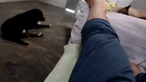 Snapshot of zitojose73 chatting on 8, 10, 2025 zitojose73 online show from 8, 10, 2025