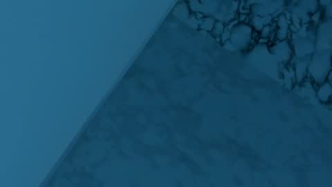 Zoe online show from 11, 12, 2024