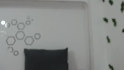 Carolina online show from 18, 9, 2025