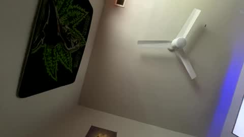 Snapshot of zoel87 chatting on 5, 2, 2025 LovelyLatin25 online show from 5, 2, 2025