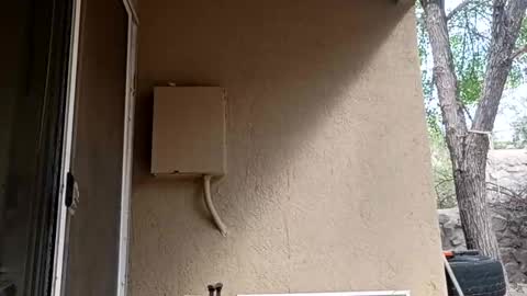 zoeoved92 online show from 8, 10, 2025