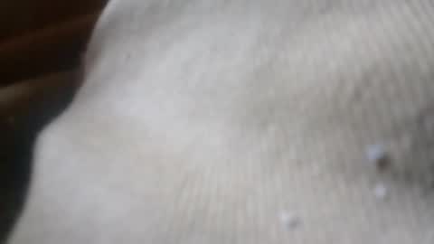 bigdickdaddy online show from 4, 6, 2026