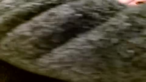 Snapshot of zolexthomas chatting on 28, 1, 2025 zolexthomas online show from 28, 1, 2025