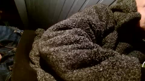 Snapshot of zolexthomas chatting on 1, 2, 2025 zolexthomas online show from 1, 2, 2025