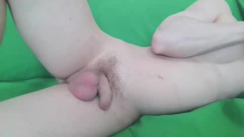 Zordy online show from 3, 4, 2026