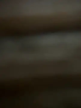 buodiculo online show from 25, 3, 2026