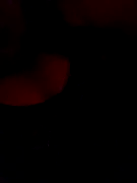 Snapshot of FerLu8 chatting on 26, 2, 2026 FerLu8 online show from 26, 2, 2026