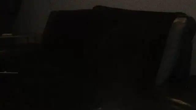 Pup Rush online show from 21, 9, 2025