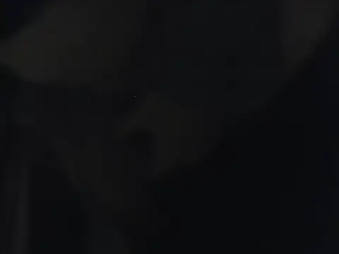 Ethan 29 online show from 30, 3, 2026