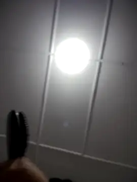 Snapshot of Lia_flowers chatting on 2, 11, 2025 Lia flowers online show from 2, 11, 2025