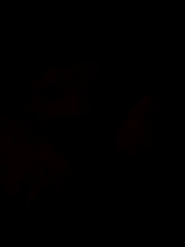 Snapshot of Sanny212 chatting on 9, 12, 2024 Sanny212 online show from 9, 12, 2024