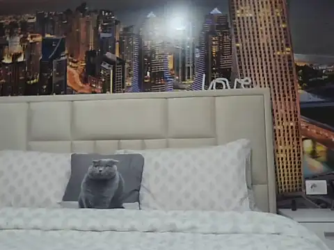 dollydream88 online show from 31, 3, 2026