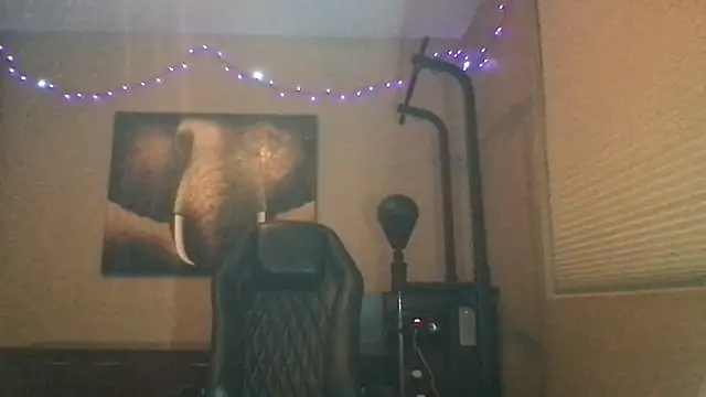 Bwcjoshbanks online show from 18, 5, 2026