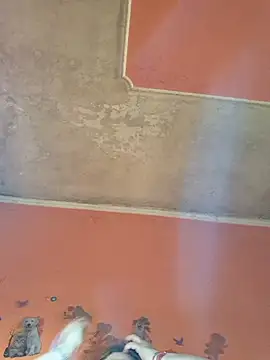 ducicsajsziii online show from 22, 4, 2026