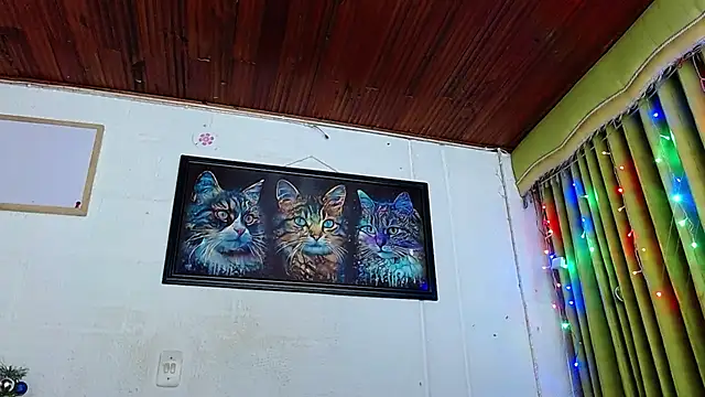 Niky 777 online show from 17, 12, 2024