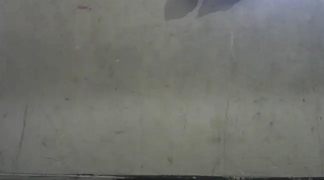 shekira99 online show from 2, 1, 2025