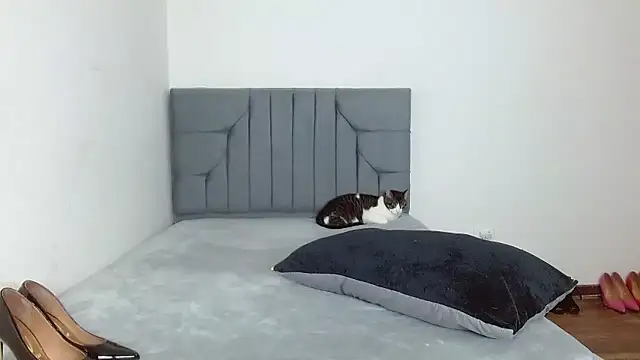 Snapshot of celeste_2023 chatting on 7, 1, 2026 celeste 2023 online show from 7, 1, 2026