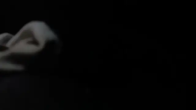 VARGAcz online show from 4, 2, 2026