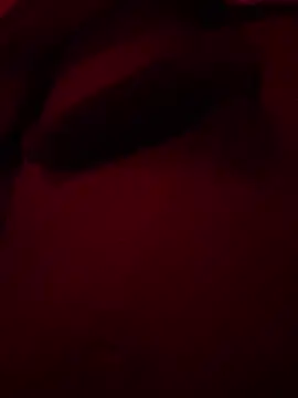 xforx online show from 17, 12, 2025