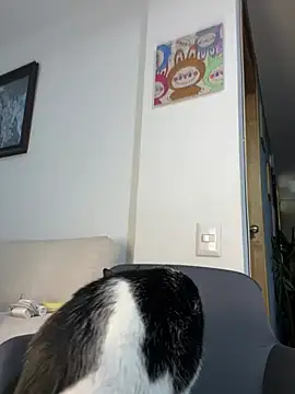 Snapshot of ananya_sex1 chatting on 15, 3, 2026 ananya sex1 online show from 15, 3, 2026