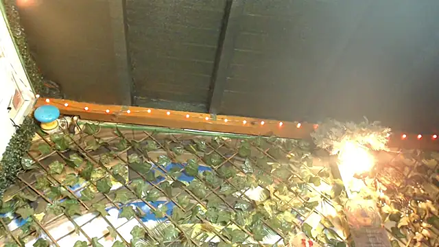 Bigboobs6930 online show from 24, 1, 2025