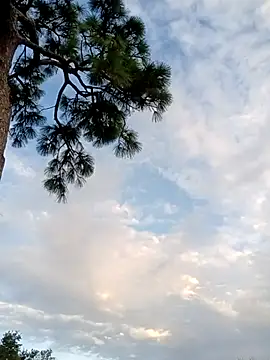 Snapshot of Hotbodyscottie chatting on 5, 10, 2025 Hotbodyscottie online show from 5, 10, 2025